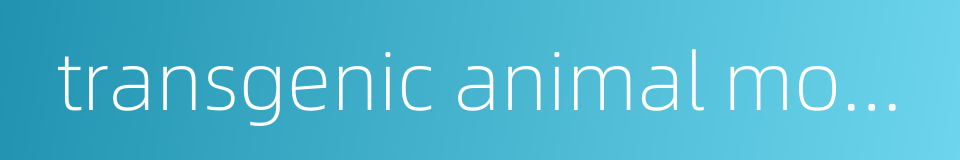 transgenic animal model的同义词