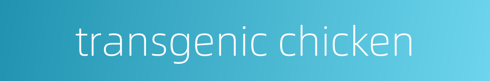 transgenic chicken的同义词
