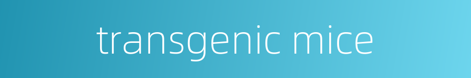 transgenic mice的同义词