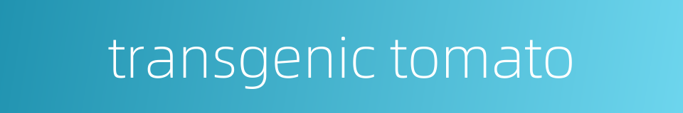 transgenic tomato的同义词