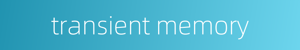 transient memory的同义词