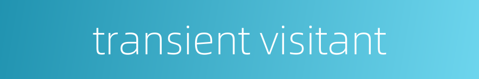 transient visitant的同义词