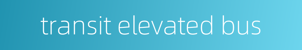transit elevated bus的同义词