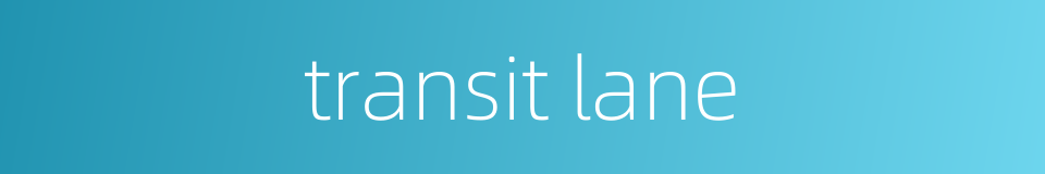 transit lane的同义词