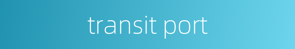 transit port的同义词