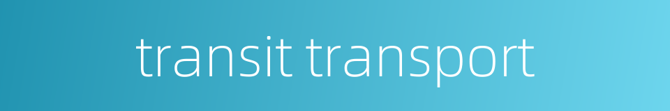 transit transport的同义词