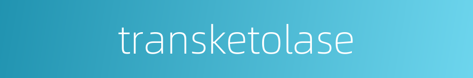 transketolase的同义词