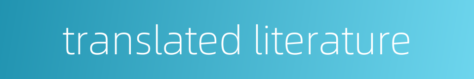translated literature的同义词