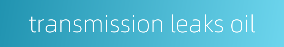 transmission leaks oil的同义词