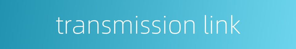 transmission link的同义词