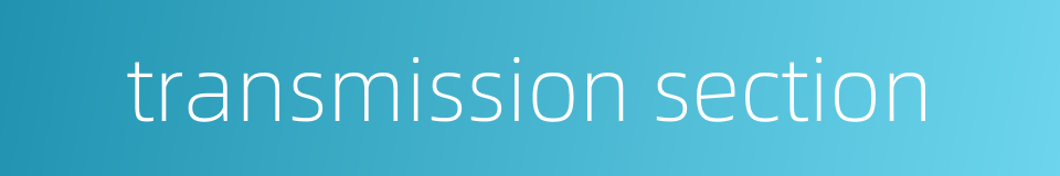 transmission section的同义词