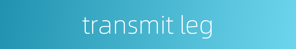 transmit leg的同义词