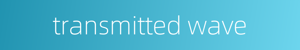 transmitted wave的同义词