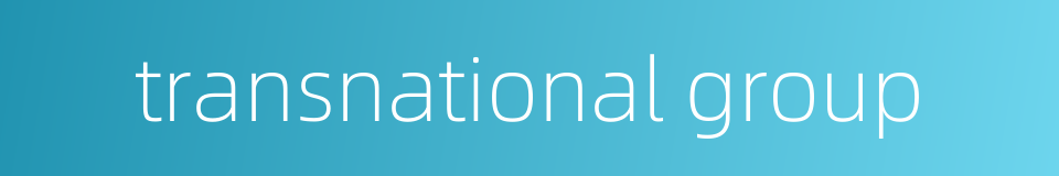 transnational group的同义词