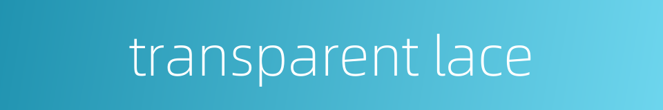 transparent lace的同义词