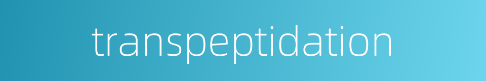 transpeptidation的同义词