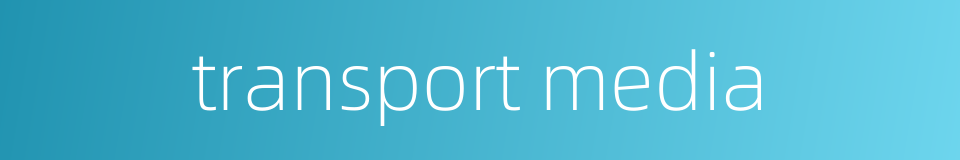 transport media的同义词