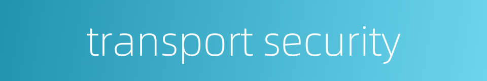 transport security的同义词