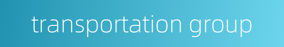 transportation group的同义词