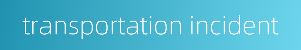 transportation incident的同义词