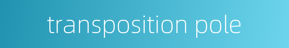 transposition pole的同义词
