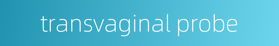 transvaginal probe的同义词
