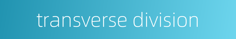 transverse division的同义词