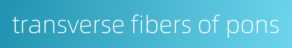 transverse fibers of pons的同义词