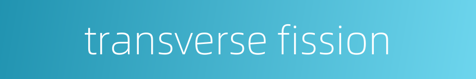 transverse fission的同义词