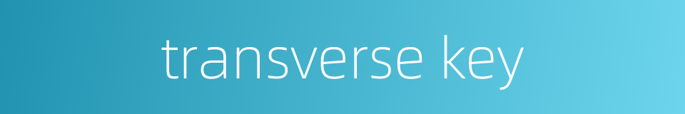 transverse key的同义词