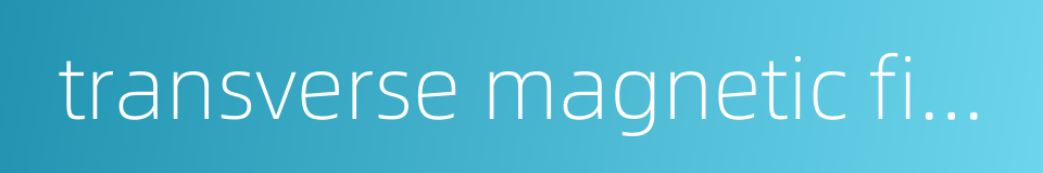 transverse magnetic field的同义词