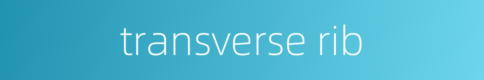 transverse rib的同义词