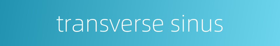transverse sinus的同义词
