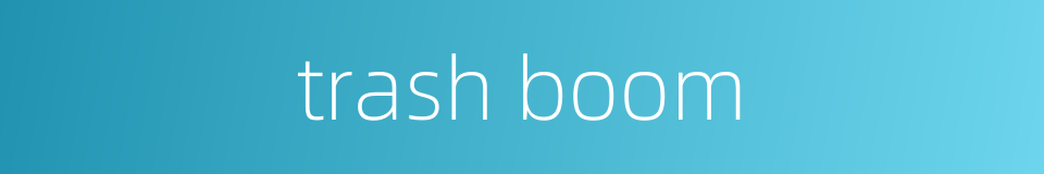 trash boom的同义词