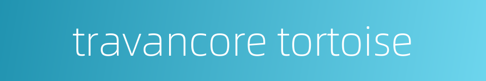 travancore tortoise的同义词