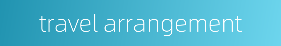 travel arrangement的同义词