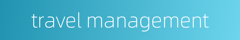 travel management的同义词