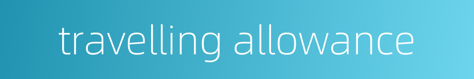 travelling allowance的同义词