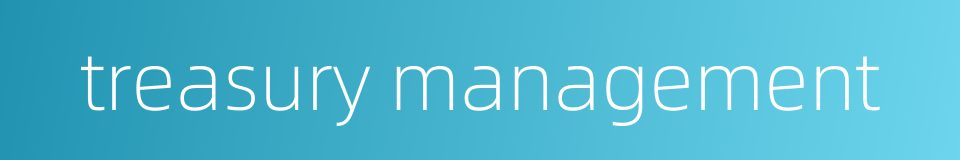 treasury management的同义词