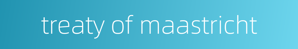 treaty of maastricht的同义词