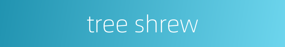 tree shrew的同义词