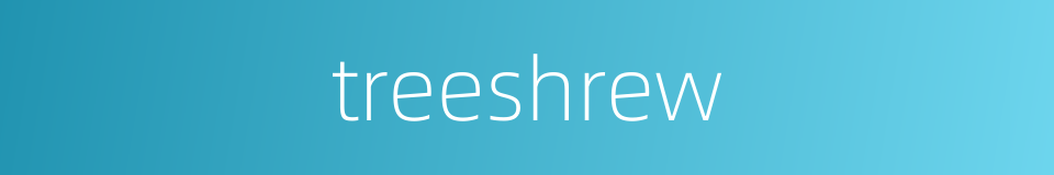 treeshrew的同义词