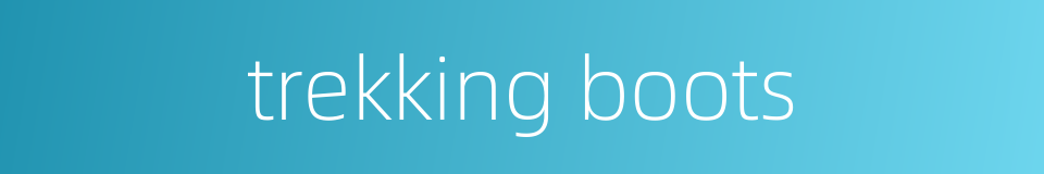 trekking boots的同义词