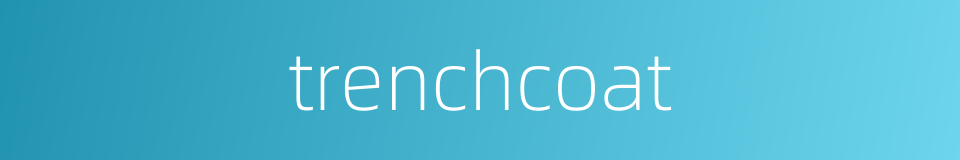 trenchcoat的同义词