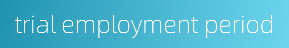 trial employment period的同义词