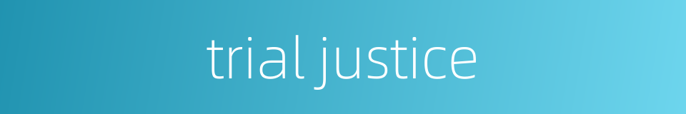 trial justice的同义词