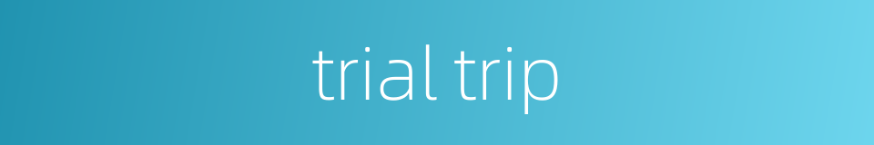 trial trip的同义词