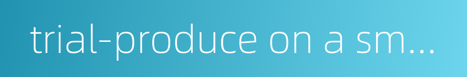 trial-produce on a small batch basis的同义词