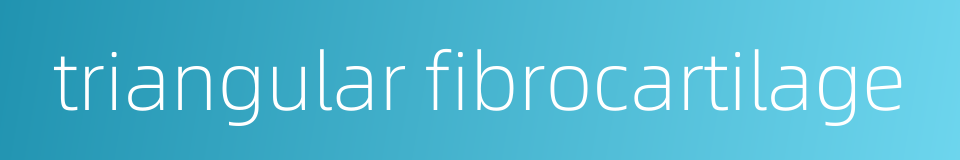 triangular fibrocartilage的同义词