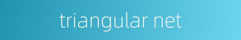 triangular net的同义词